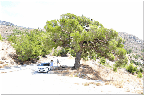 автокрит аренда авто на крите